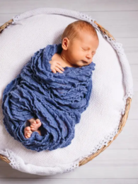 Newborn Year Plan